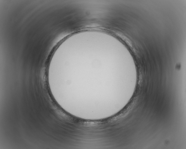X0000116581458201001211254