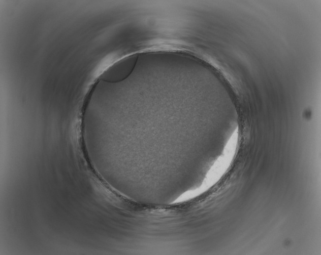 X0000116581459201001211254