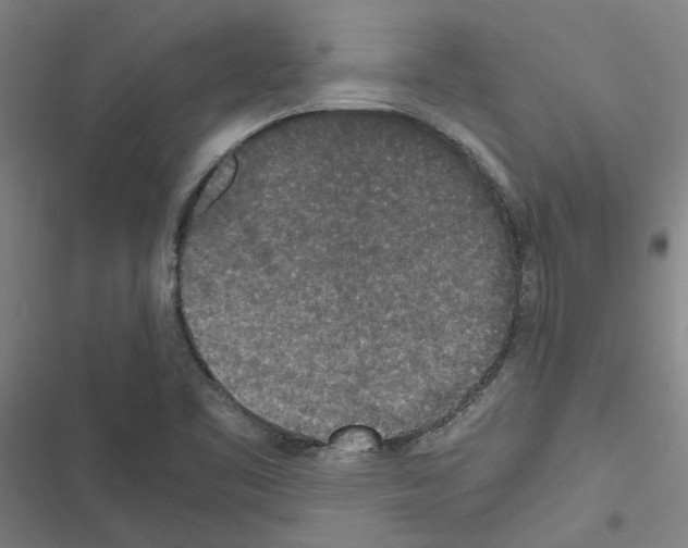 X0000116581461201001211254