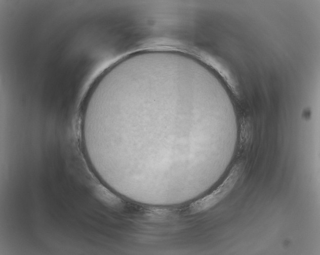 X0000116581462201001211254
