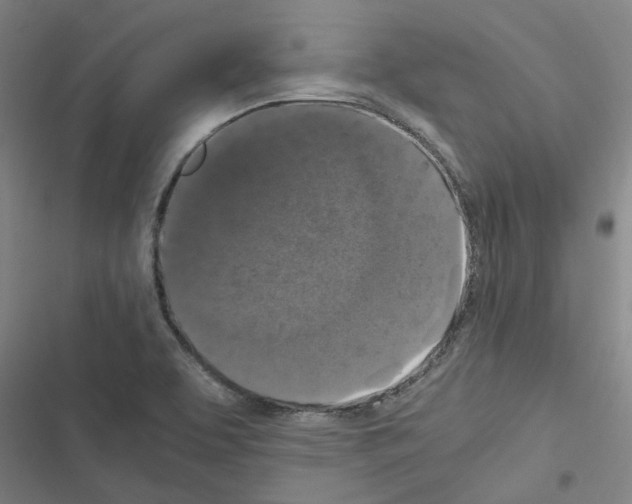 X0000116581463201001211254