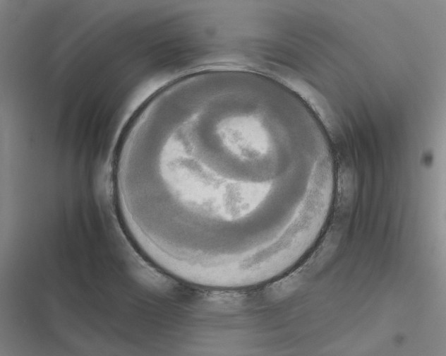 X0000116581466201001211254