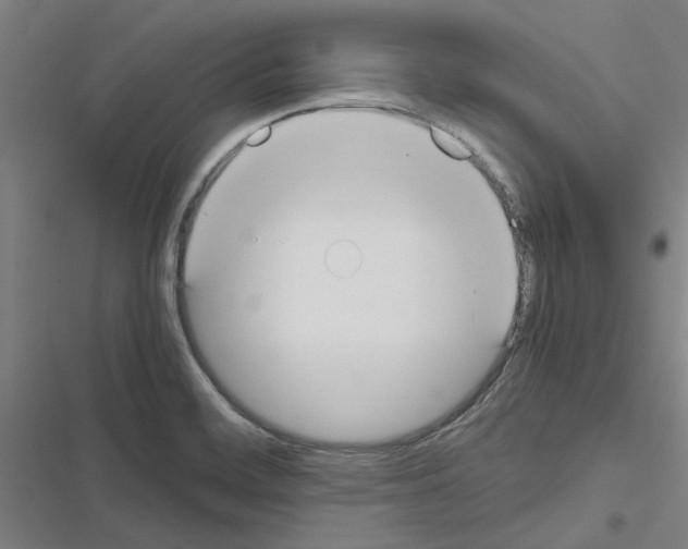 X0000116581468201001211254