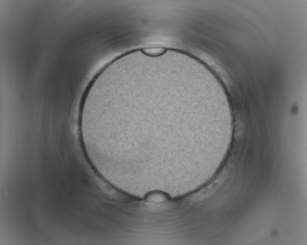 X0000116581469201001211254