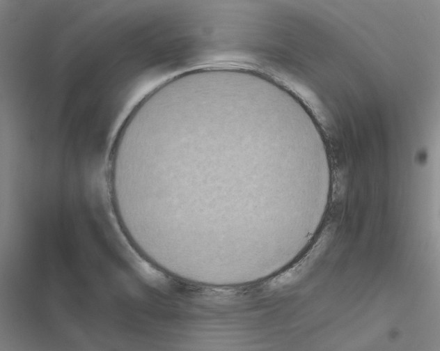 X0000116581470201001211254
