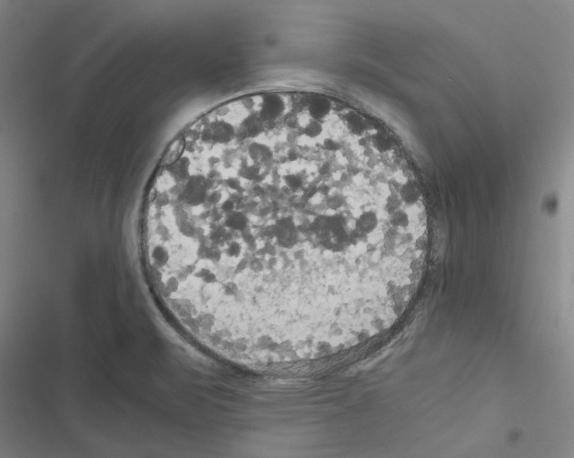 X0000116581471201001211254