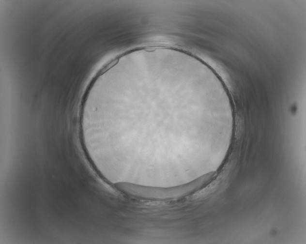 X0000116581477201001211254