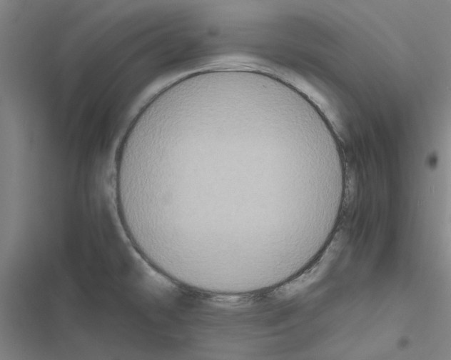 X0000116581478201001211254