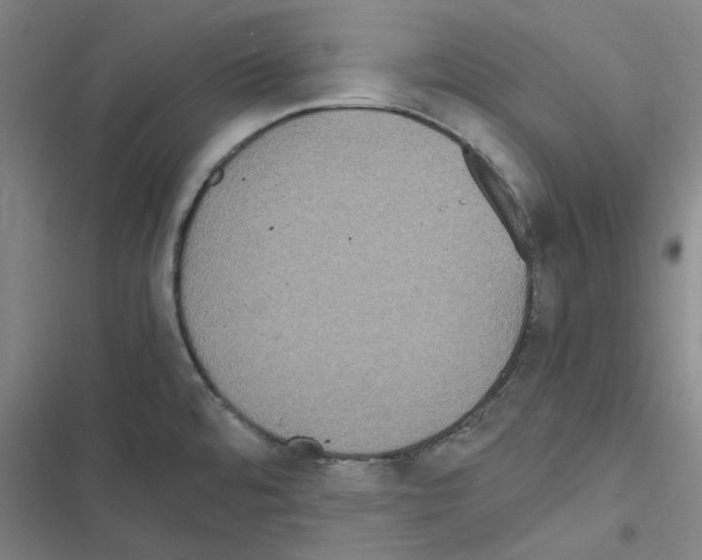X0000116581480201001211254