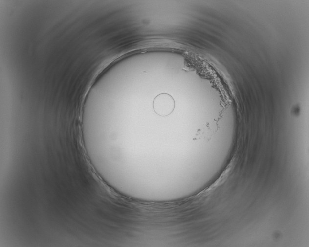 X0000116581481201001211254
