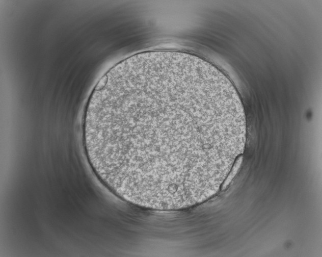 X0000116581483201001211254