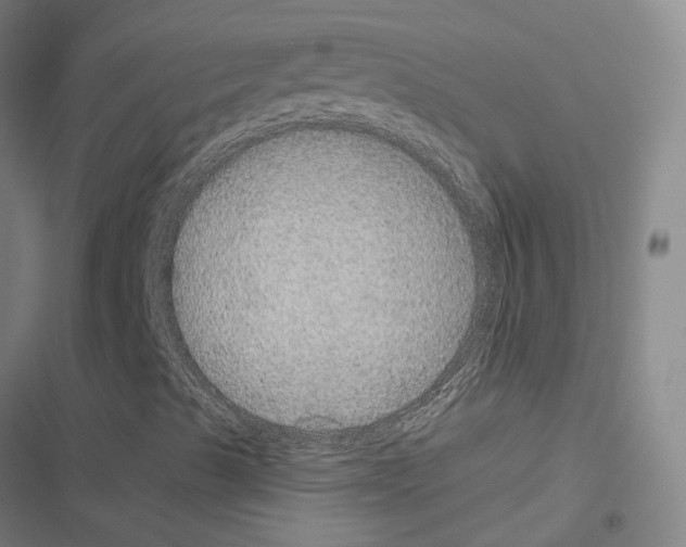 X0000116581489201001211253