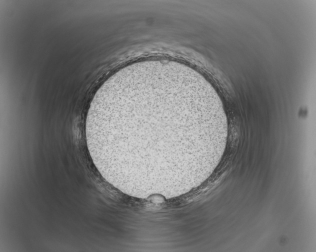 X0000116581490201001211253