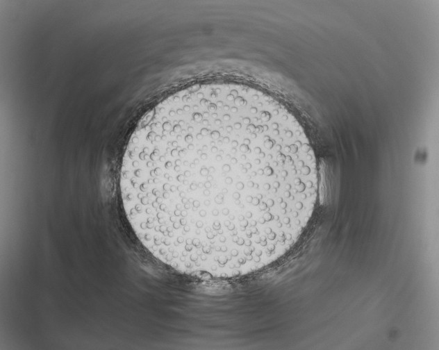 X0000116581491201001211253