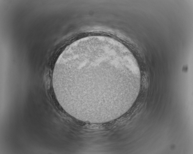 X0000116581493201001211253