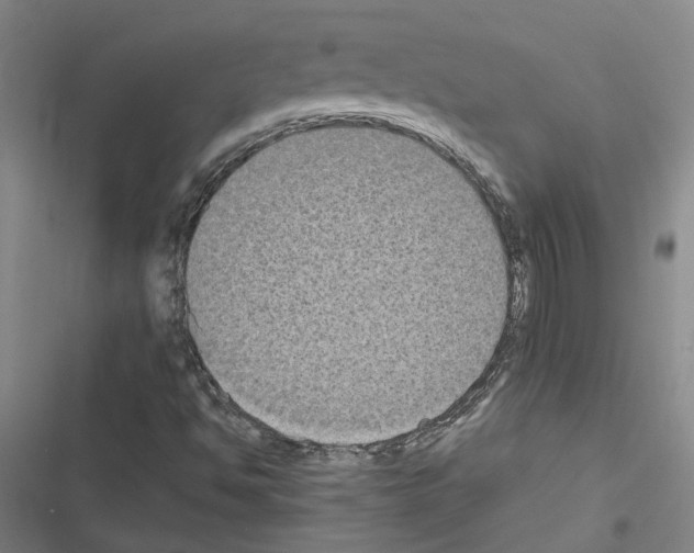 X0000116581494201001211253