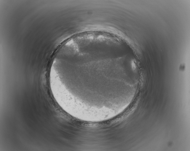 X0000116581497201001211253