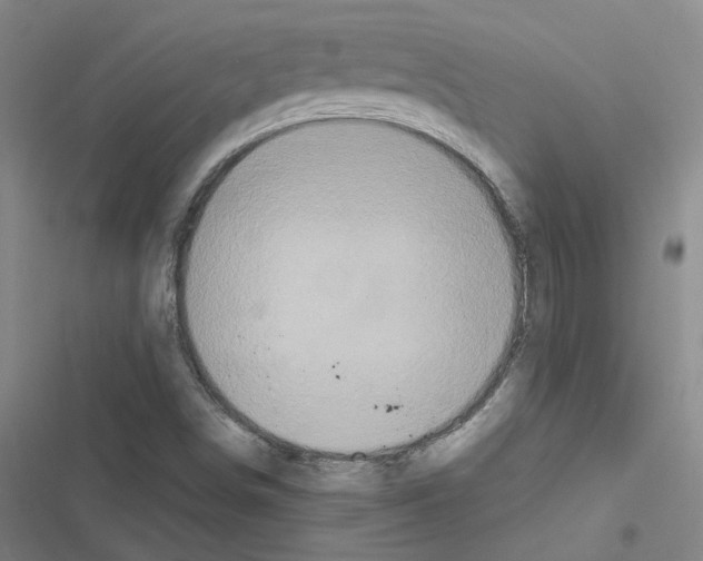 X0000116581498201001211253