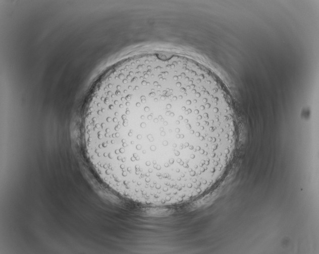 X0000116581499201001211253