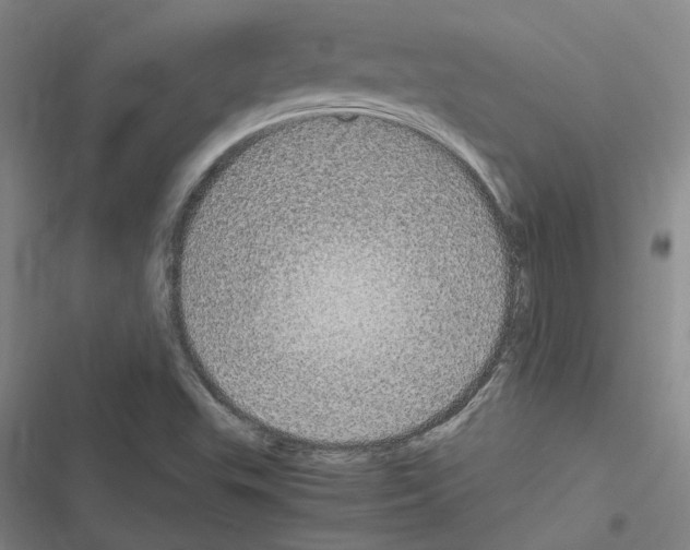 X0000116581503201001211253