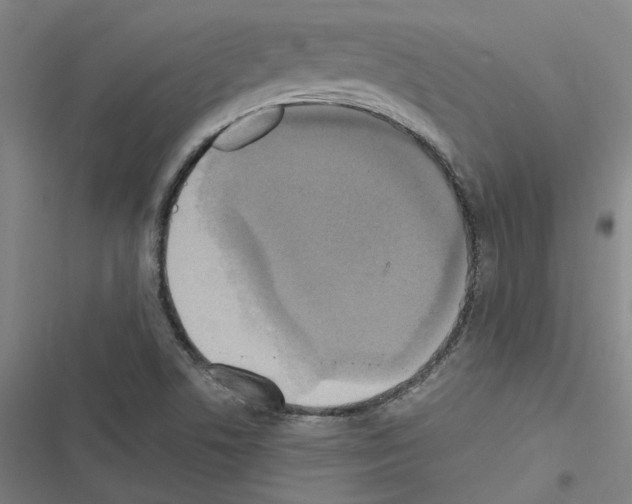 X0000116581506201001211254
