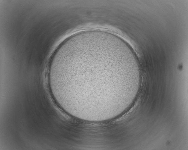 X0000116581507201001211254