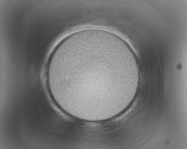 X0000116581511201001211254