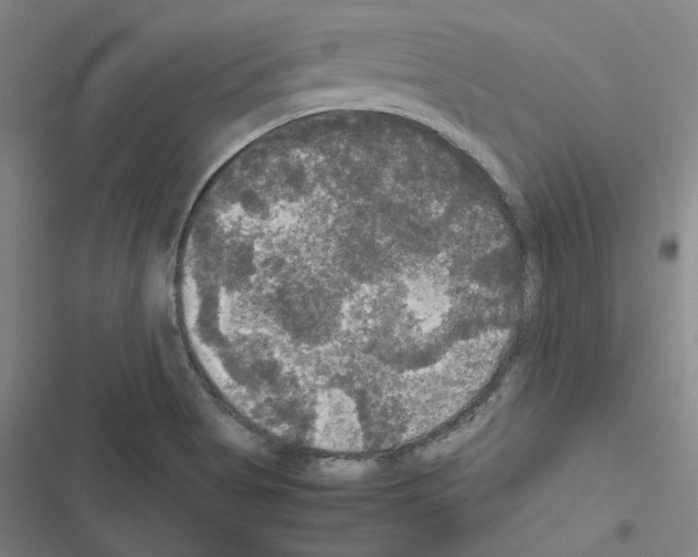 X0000116581513201001211254