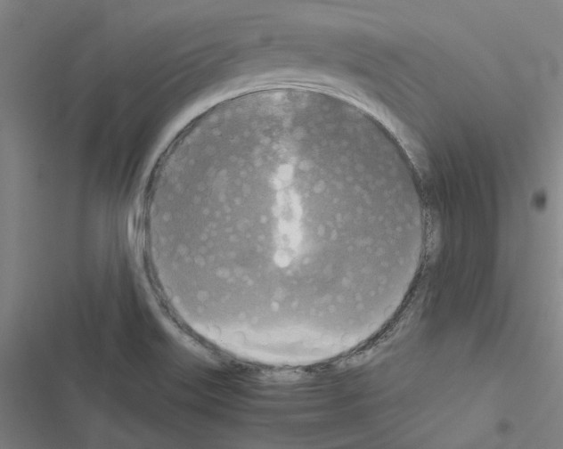 X0000116581515201001211254