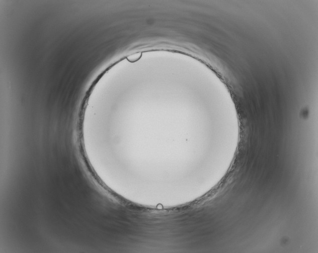 X0000116581518201001211254