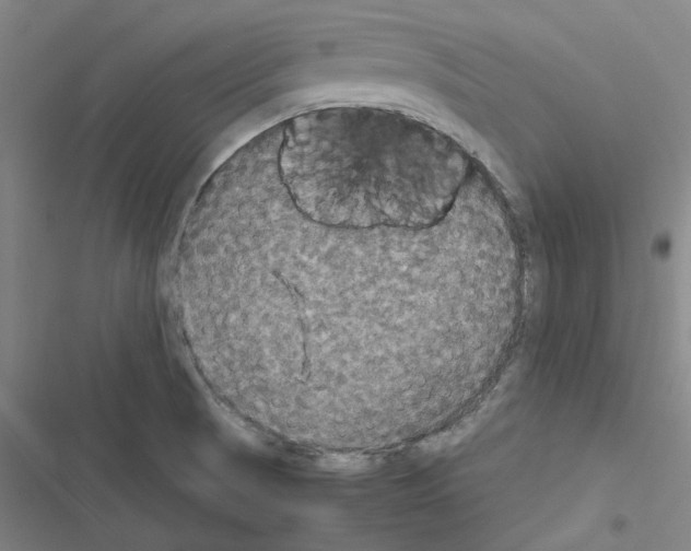 X0000116581521201001211254
