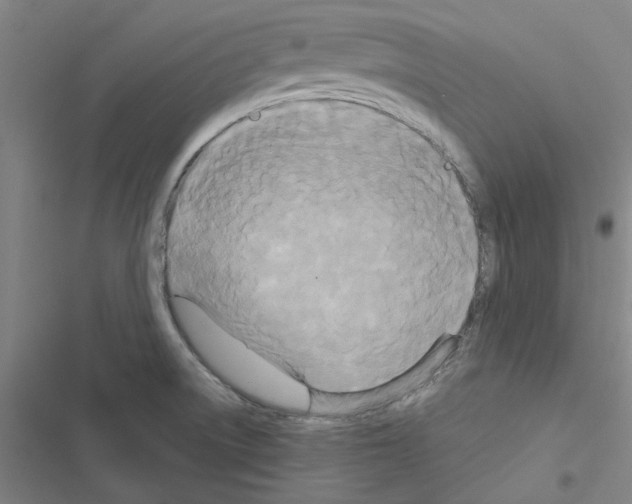X0000116581522201001211254
