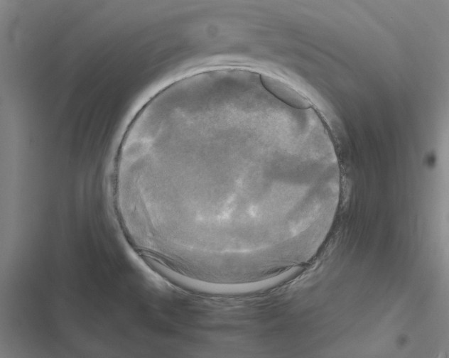 X0000116581527201001211254