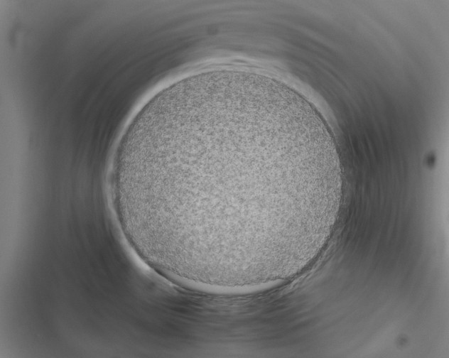 X0000116581531201001211254
