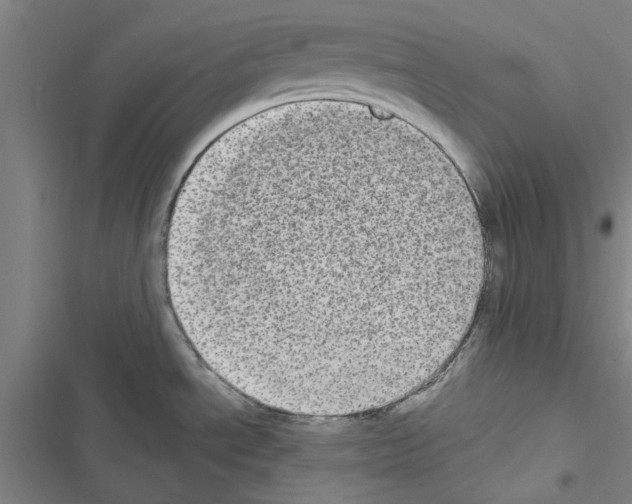 X0000116581534201001211254