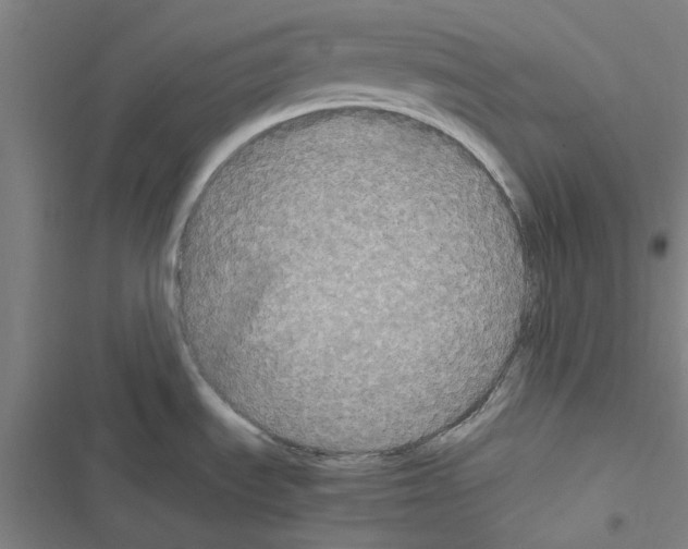 X0000116581535201001211254