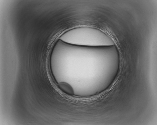X0000116590001200912101342