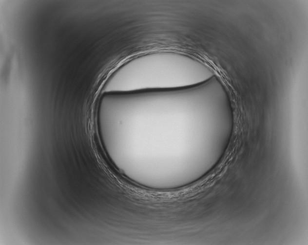X0000116590002200912101342