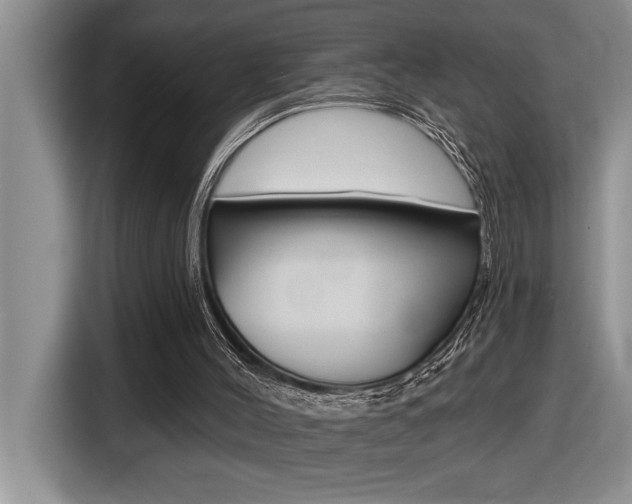 X0000116590004200912101342