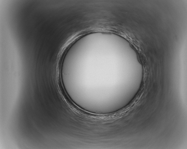 X0000116590005200912101342