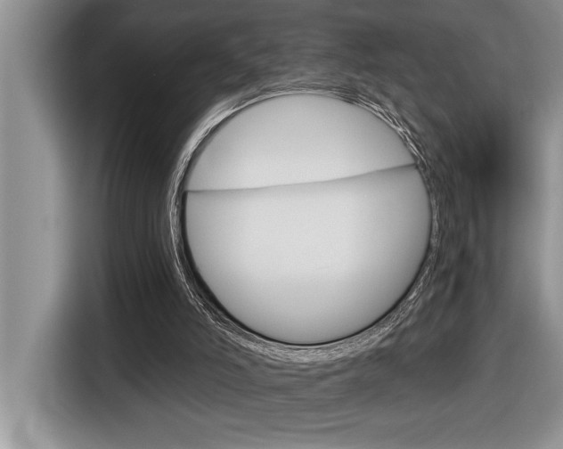 X0000116590006200912101342