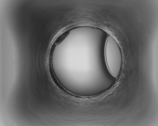 X0000116590007200912101342