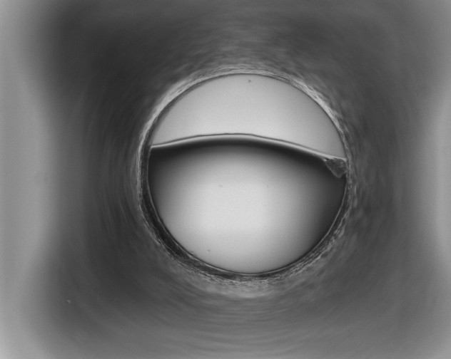 X0000116590008200912101342