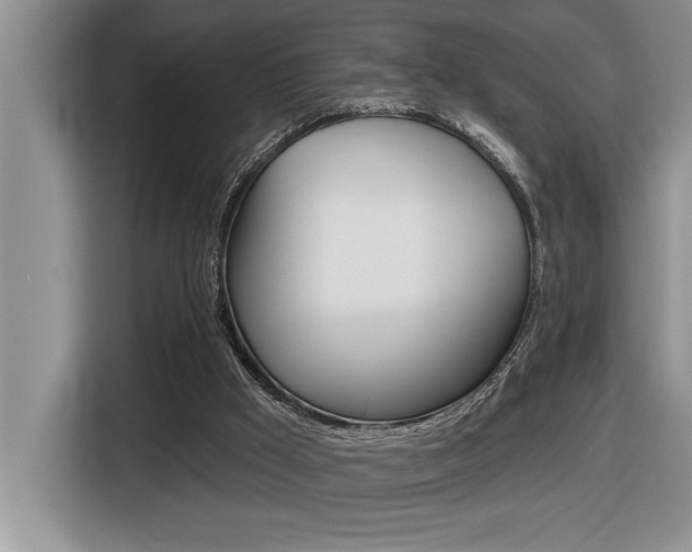 X0000116590009200912101342