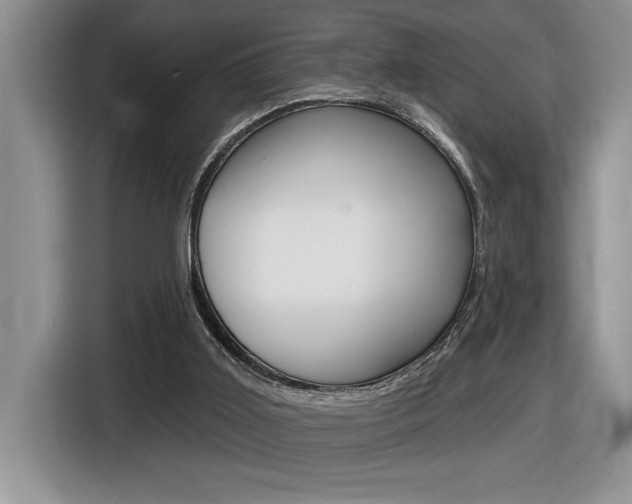 X0000116590011200912101342