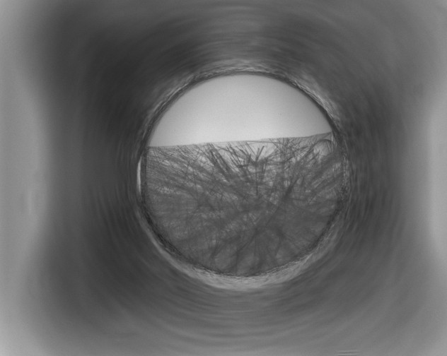 X0000116590014200912101342