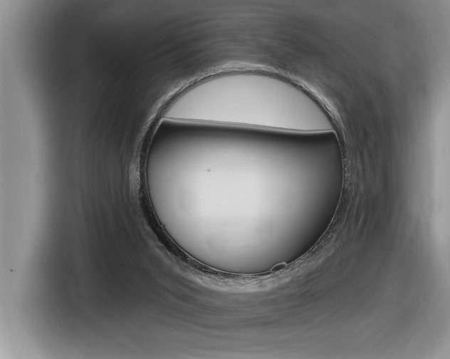 X0000116590015200912101342