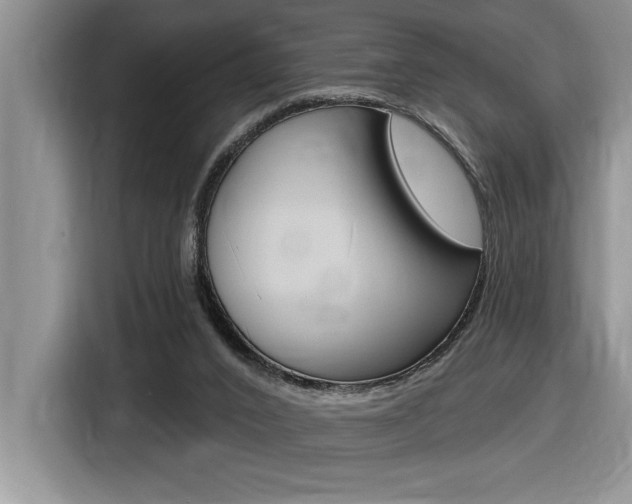 X0000116590016200912101342