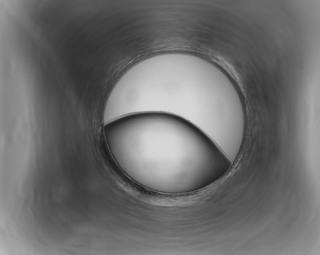 X0000116590017200912101342