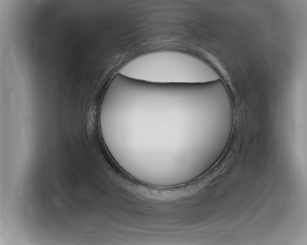 X0000116590018200912101342